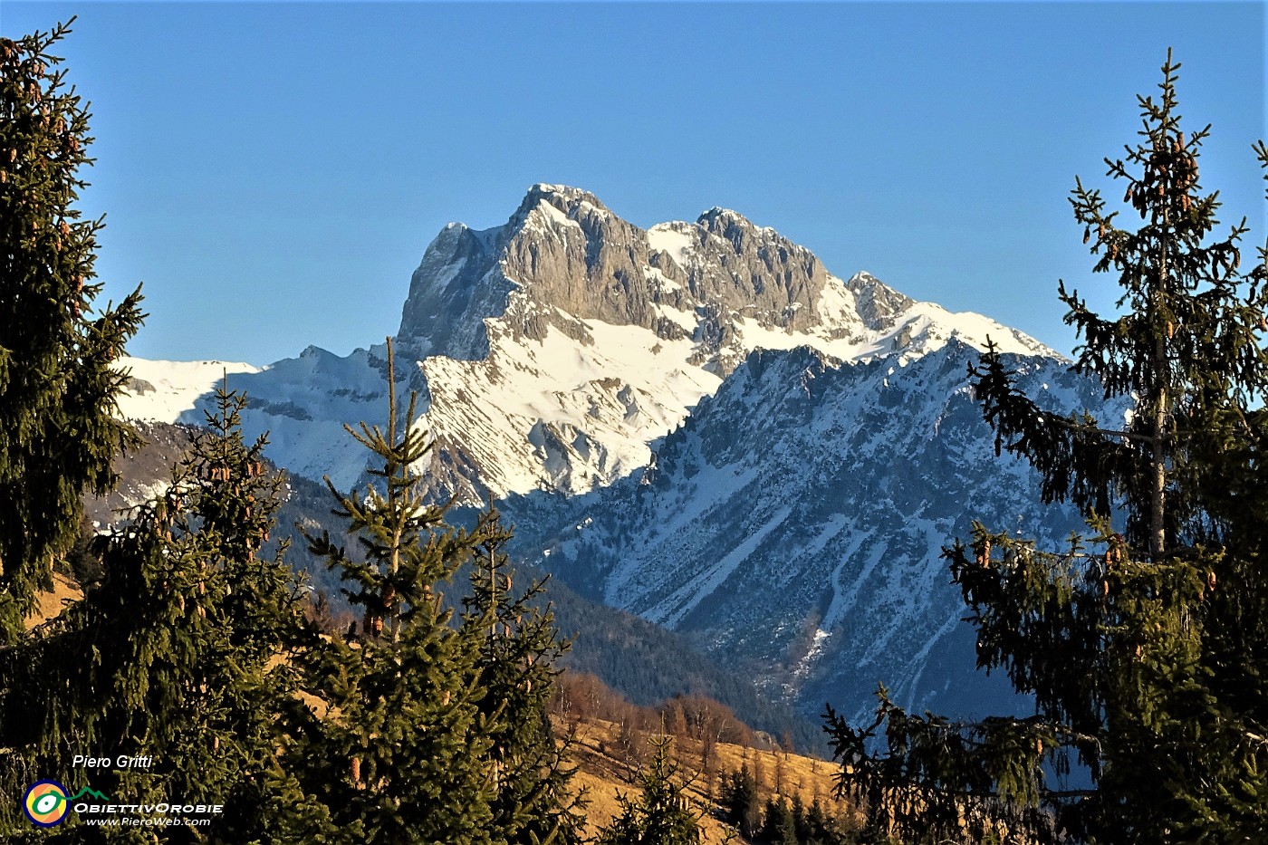 36 La Regina si fa sempre vedere oggi.JPG